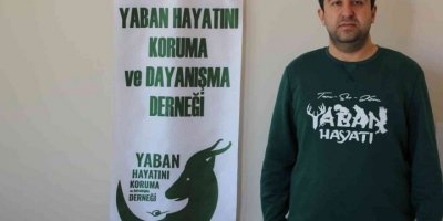 Av yasağı başladı