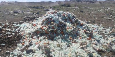 Milleyha Kuş Cenneti’nde çöp tehdidi