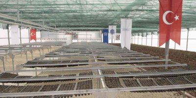 Seyhan Destekliyor, Kadınları Üretip Kazanıyor