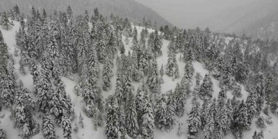 Yaylada kartpostallık görüntüler