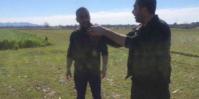 Tedavisi tamamlanan turaç doğaya salındı