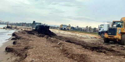 Millet Bahçesi sahiline vuran atıklar toplandı