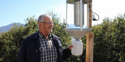 Büyükşehir domates güvesine ‘ışık tuzak’ kurdu