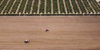 Çukurova’nın bereketli toprakları mısırla buluşmaya başladı