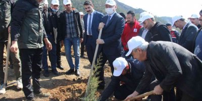 Bozyazı’da fidan dikim etkinliği