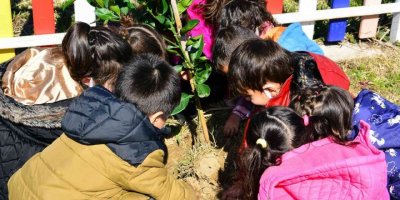 Manavgat’ta 120 çocuk fidan dikti