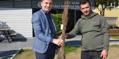 Alanya’da 140 bin meyve fidanı dağıtıldı