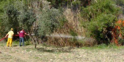 Osmaniye’de çıkan orman yangını kontrol altına alındı