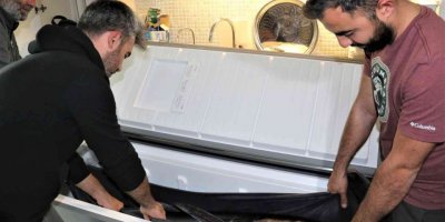 Oltayla tutulan dev orkinosu kamyonetle taşıyıp, evin buzdolabına güçlükle sığdırdılar