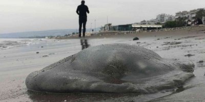 Kıyının her yerinde, dokunanı yakıyor