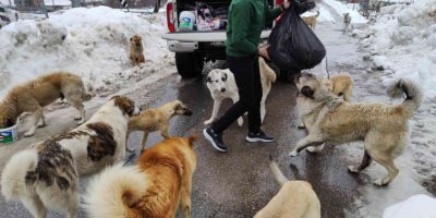 Adanalı kebapçı sokak hayvanlarını unutmadı