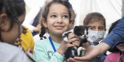 Gönüllüler sokak hayvanlarını besledi