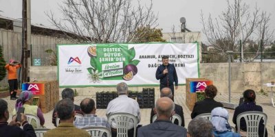 Mersin’de üreticiye ’passiflora fidesi’ desteği