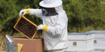 Arıcılık sektörü, sorunlarına çözüm bulmak için panelde buluştu