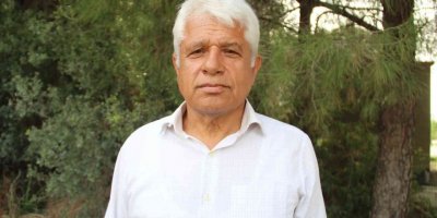 Antalya’da yunus sürüsü tekneye eşlik etti