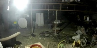 Tilkinin tavuğa saldırdığı anlar kamerada