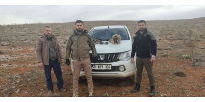 Kekliklerin neslini tehlikeye sokan yasa dışı ava 25 bin lira ceza