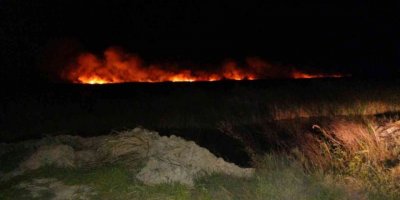 Göksu Deltası’nda yangın