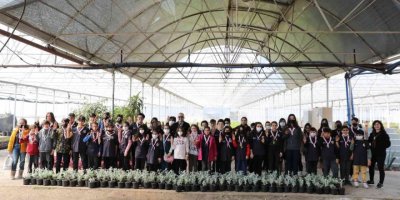 Büyükşehir’in İzcileri Zeytinpark’ta Yemin Edecek