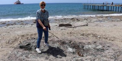 Koparmanın cezası 120 bin TL olan kum zambakları koparılarak yakıldı