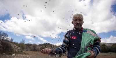 Gülnar’da atalık nohut tohumları toprakla buluştu