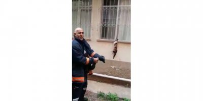 Pencere Korkuluğuna Sıkışan Kediyi İtfaiye Kurtardı