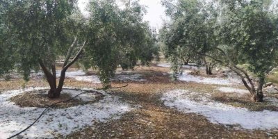 Tarsus’ta dolu ve fırtına etkili oldu