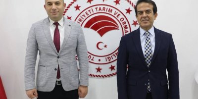 İnteraktif Çilek E- Çalıştayı kitap oldu