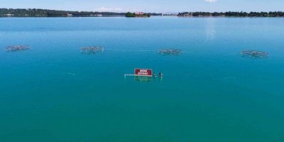 Barajın seviyesi yükseldi, kafeler sular altında kaldı