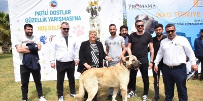 Ceyhan’da "Patili Dostlar Güzellik Yarışması"