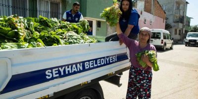 Seyhan Belediyesi Ürettiği Marulları Halka Dağıttı