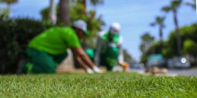 Adnan Menderes Bulvarındaki refüje rulo çim seriliyor