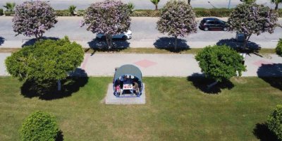 Mersin’de yaz havasıyla orkide ağaçları çiçek açtı, karsambaç satışları başladı