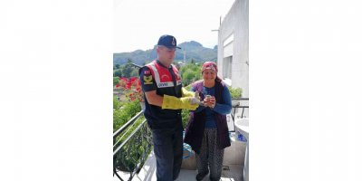 Yavru kumrulara jandarmadan yardım eli