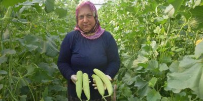 Antalya’da üretilip kilosu 30 TL’den Almanya’ya gidiyor