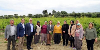 Akdeniz Belediyesi, çiftçilere verimli gübre kullanımı semineri başlatıyor