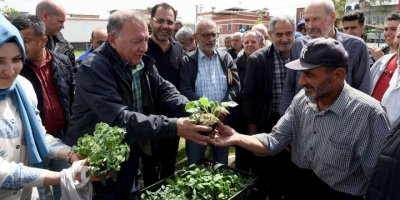 Çiftçilere 10 bin fide ve fidan dağıtıldı