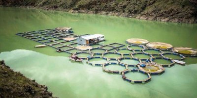 Kahramanmaraş’ta su ürünleri ihracatı artıyor