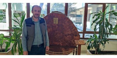 Bu karaçam 18 dünya olayına tanıklık etti