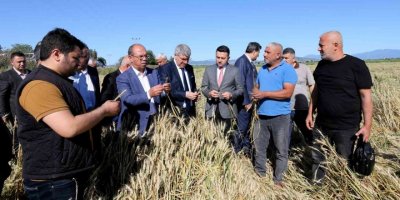 Şiddetli dolu yağışında 40 bin dekar tarım arazisinin zarar gördüğü tespit edildi