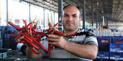 Havaların ısındığı Antalya halinde sebze fiyatları geçen haftalara göre yarı yarıya düştü