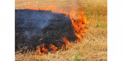 Çiftçilere ’Anız Yakmayın’ uyarısı