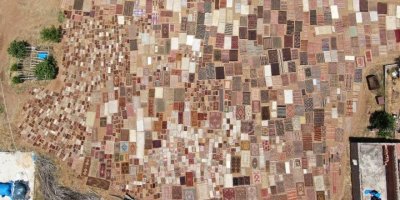 ’Halı tarlaları’nda sezon açıldı, buğday tarlalarında renk cümbüşü yaşandı