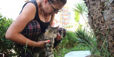 Ağaçta mahsur kalan kedisine kavuşunca büyük mutluluk yaşadı