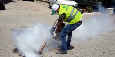 Osmaniye’de sinekle mücadele