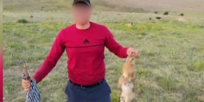 Vurdukları tavşanı köpeklere parçalattırıp sosyal medyada paylaştılar