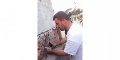 İki duvar arasında sıkışan kediyi belediye personeli kurtardı