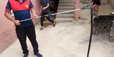 Osmaniye’de eve giren yılanı itfaiye yakaladı