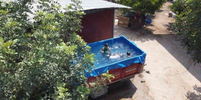 Çocuklar römork havuzda serinliyor