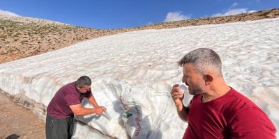 Toroslardan Çuval Çuval Taşınan Kar, Deniz Seviyesinde Karlama Şerbet Oluyor